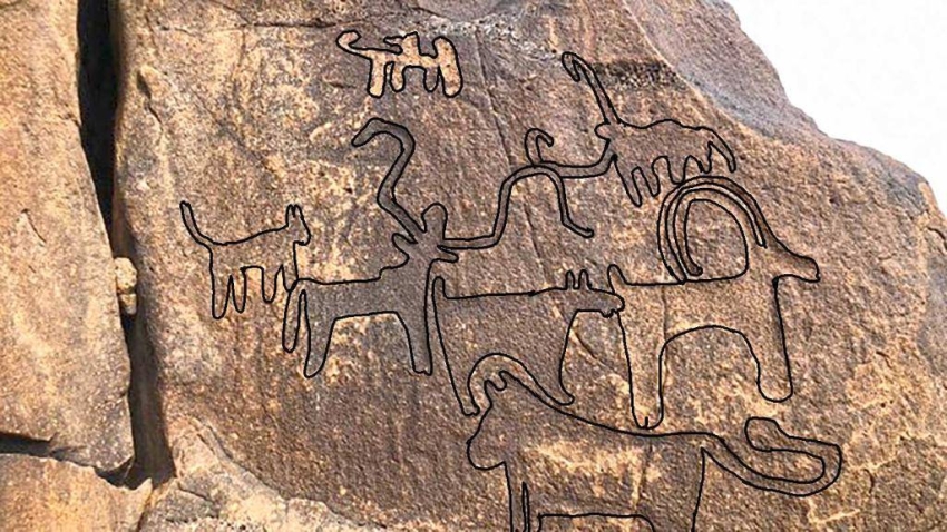 تسجيل 446 موقعً