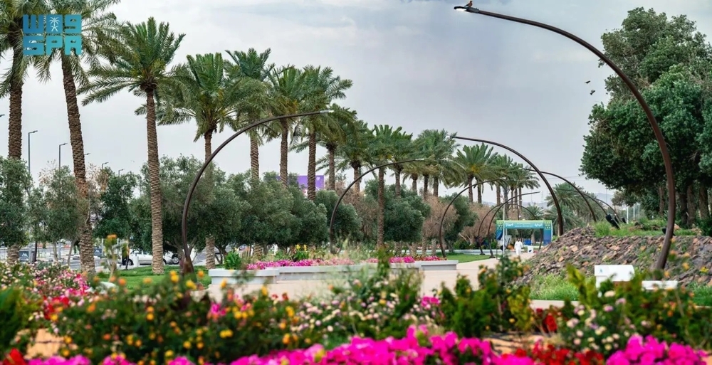 تعزيز قطاع الحد