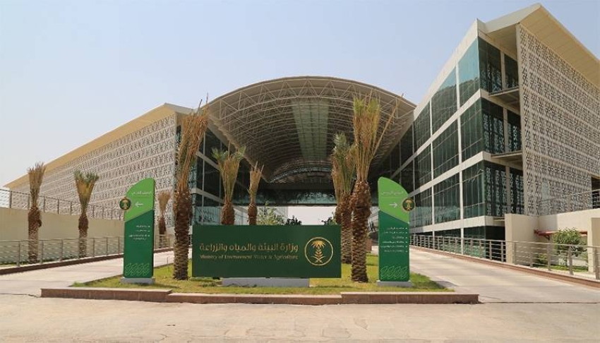 انطلاق اسبوع ال